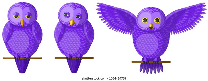 Vector purple owl set. Cute character design, birds sitting on the branch. Original funny violet birds owls, isolated vector illustration.
