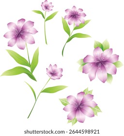 Vetor Pink flor elemento isolado Padrão Colorido Arte floral realístico ornamento clip arte casamento elegante bokeh spa romance efeito primavera