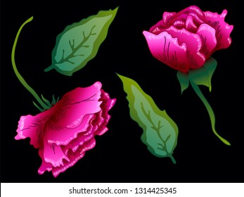 Vector Purple Rose floral botanical flower. Wild spring leaf wildflower isolated. Purple engraved ink art. Isolated rose illustration element on black background.