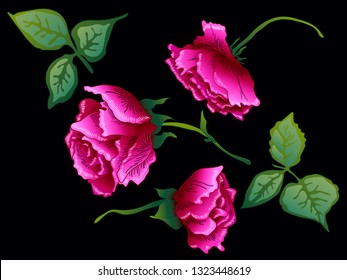 Vector Purple Rose floral botanical flower. Wild spring leaf wildflower isolated. Purple engraved ink art. Isolated rose illustration element on black background.