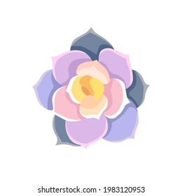 Vector purple Succulent named Echeveria Lola in Flat design style, oil-painted potted Stone Rose on white isolated background for prints, stickers, patterns, postcards, icons for social media, apps.