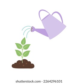 vector purple watering can isolated on white background, gardening tools, seedlings are watered from watering can, flat design