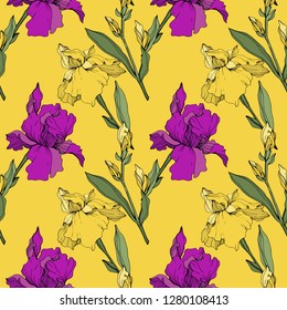 Vector Purple, yellow and blue iris. Floral botanical flower. Wild spring leaf wildflower isolated. Engraved ink art. Seamless background pattern. Fabric wallpaper print texture.