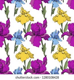 Vector Purple, yellow and blue iris. Floral botanical flower. Wild spring leaf wildflower isolated. Engraved ink art. Seamless background pattern. Fabric wallpaper print texture.