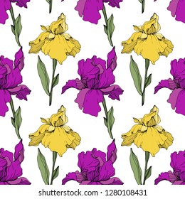 Vector Purple, yellow and blue iris. Floral botanical flower. Wild spring leaf wildflower isolated. Engraved ink art. Seamless background pattern. Fabric wallpaper print texture.