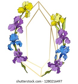 Vector Purple, yellow and blue iris floral botanical flower. Wild spring leaf wildflower isolated. Engraved ink art. Frame border ornament square.