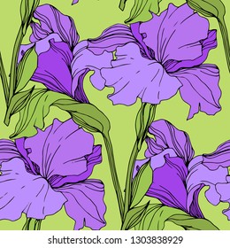 Vector Purple and yellow iris floral botanical flower. Wild spring leaf wildflower isolated. Engraved ink art. Seamless background pattern. Fabric wallpaper print texture.