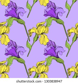 Vector Purple and yellow iris floral botanical flower. Wild spring leaf wildflower isolated. Engraved ink art. Seamless background pattern. Fabric wallpaper print texture.