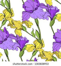 Vector Purple and yellow iris floral botanical flower. Wild spring leaf wildflower isolated. Engraved ink art. Seamless background pattern. Fabric wallpaper print texture.