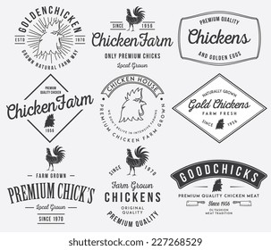 Vector quality chicken badges and labels for any use