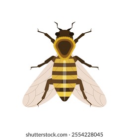 vector of a queen bee, isolated on a white background, queen bee clipart