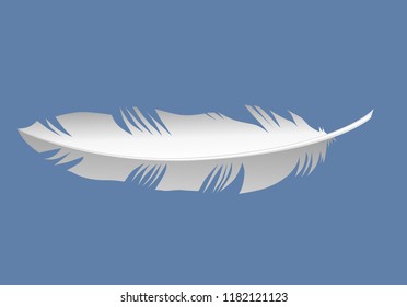 Vector - quill of chicken Illustration