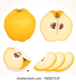 Vector quince. Set of whole, sliced, half of yellow quince isolated on white background. Vector illustration.