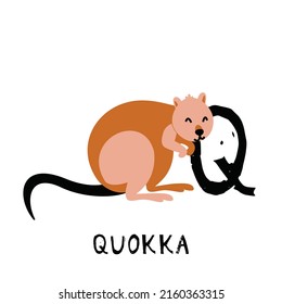 Vector Quokka Is Isolated On White Background. Alphabet For Kids