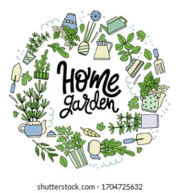 Vector quote from hand-drawn text. Home garden of fragrant herbs, illustration for a positive motivation of life. Fragrant herbs for tasty and healthy dishes.