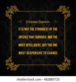 Vector quote. It is not the strongest of the species that survives, nor the most intelligent, but the one most responsive to change. Charles Darwin.