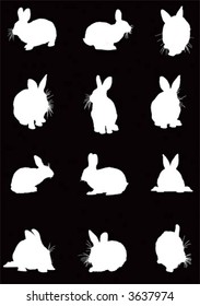vector rabbit