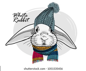 Vector rabbit with blue knitted hat and scarf. Hand drawn illustration of dressed rabbit.