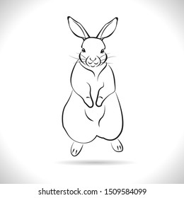 Vector of a rabbit design on white background. Wild Animals. Rabbit logo or icon. 