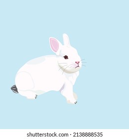 a vector of rabbit in the field