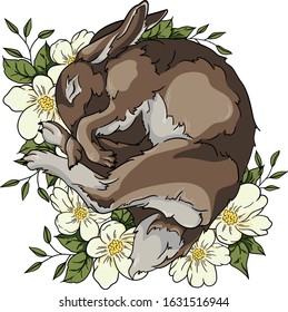vector rabbit and flower illustration