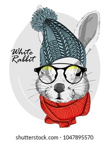 Conejo vectorial con gafas, sombrero de punto azul y bufanda roja. Dibujo manual de conejo vestido.