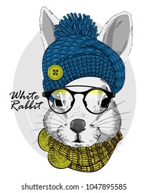 眼鏡をかけたベクターウサギ、青いニットハット、緑のスカーフ。服を着たウサギの手描きのイラスト。