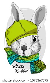 Vector rabbit with green cap and knitted scarf. Hand drawn illustration of dressed rabbit.