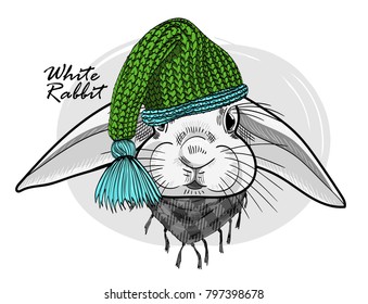Vector rabbit with green knitted hat and scarf. Hand drawn illustration of dressed rabbit.