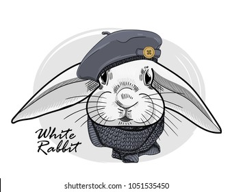 Vector rabbit with grey beret and knitted scarf. Hand drawn illustration of dressed rabbit.