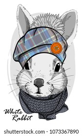 Vector rabbit with hat and  knitted  scarf. Hand drawn illustration of dressed rabbit.