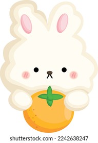 a vector of rabbit hugging an orange