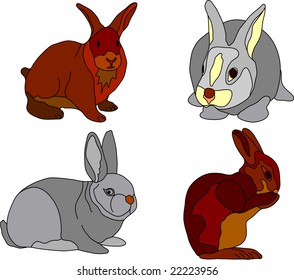 vector - rabbit isolated on white background
