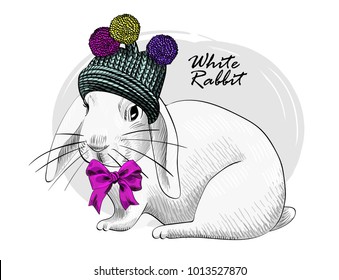 Vector rabbit with knitted hat and bow. Hand drawn illustration of dressed rabbit.