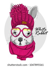 Vector rabbit with pink glasses, pink knitted hat and scarf. Hand drawn illustration of dressed rabbit.