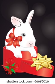 Vector of rabbit in the red box on a black background
