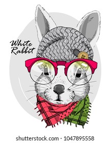 Vector rabbit with red glasses, grey knitted hat and scarf. Hand drawn illustration of dressed rabbit.