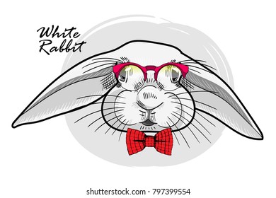 Vector rabbit with red glasses. Hand drawn illustration of dressed rabbit.