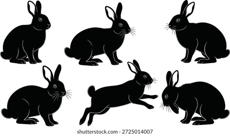 Vetor, coelho, silhuetas, coelho, lebre, animais, vida selvagem, natureza, páscoa, coleção, preto, animais de estimação, fazenda, jardim, pulando, sentado, ouvidos, vários, formas