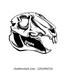 VECTOR RABBIT SKULL SKELETON ANATOMY ILLUSTRATION FOR SCIENCE ON WHITE BACKGROUND