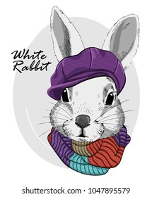 Vector rabbit with violet cap and knitted scarf. Hand drawn illustration of dressed rabbit.