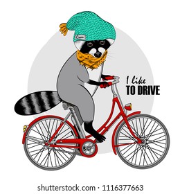 Vector raccoon with a red bike. Hand drawn illustration of dressed coon  with green knitted hat and knitted yellow scarf.