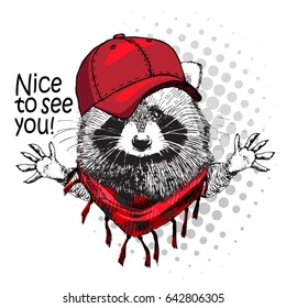 Vector raccoon with red cap. Hand drawn illustration of dressed racoon