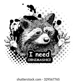 Vector raccoon. White and black 
