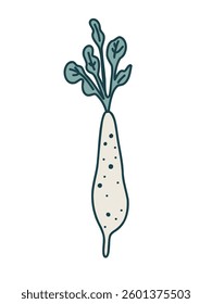 Vector radish illustration  art kid