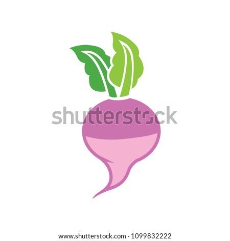 vector radish illustration, healthy vegetable food - natural fresh ingredient