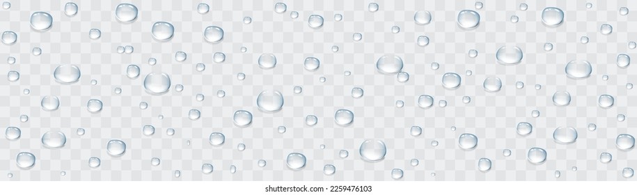 Vector rain drops or steam shower on window glass surface for your design. Realistic pure droplets and water bubbles condensed on the glass background. 