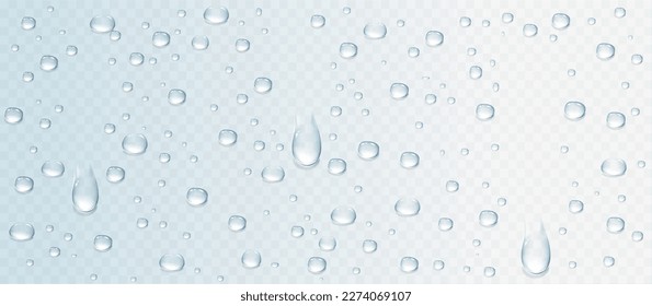 Vector rain drops or steam shower on window glass surface for your design. Realistic pure droplets and water bubbles condensed on the glass background. 
