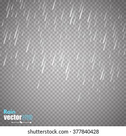 Vector Rain Isolated On Transparent Background. 
