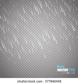 Vector rain isolated on transparent background. Vector illustration